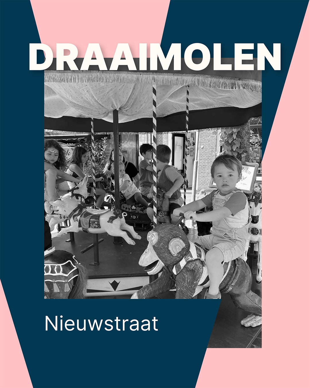 Deelmemer Draaimolen